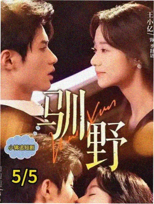 天龙影院免费观看都市情感剧白露未晞